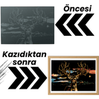 Geyik kazıma sanatı seti - kazıma işlemi yakın çekim
