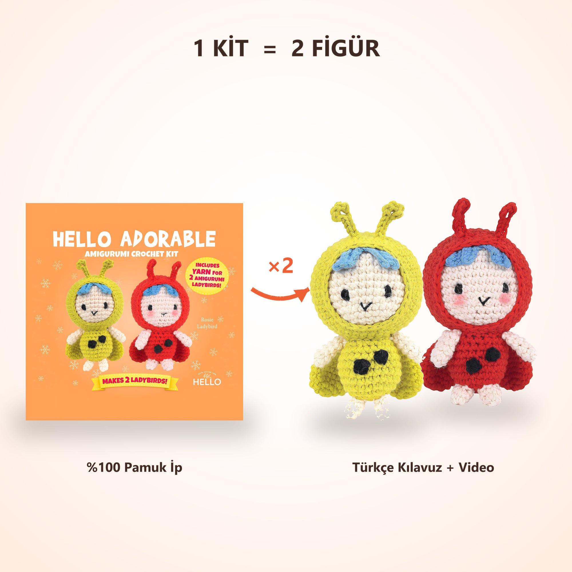 Bir kit ile iki uğur böceği figürü